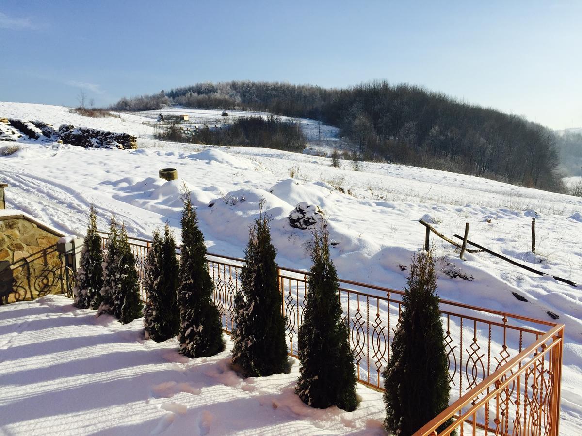 Mini Hotel Solnce Karpat Polyana (Transcarpathia) Exterior foto