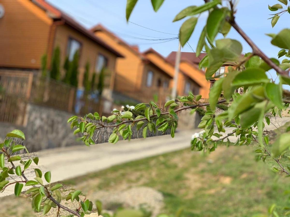 Mini Hotel Solnce Karpat Polyana (Transcarpathia) Exterior foto